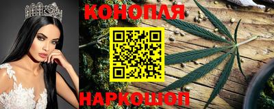 эйфоретик Партизанск