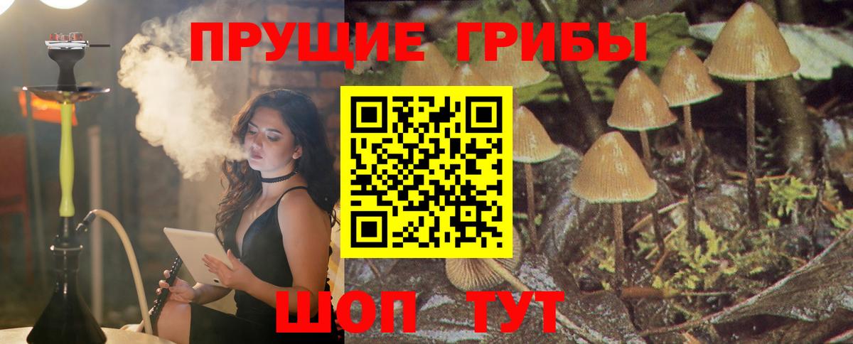 Рославль  Псилоцибиновые грибы мицелий  Псилоцибиновые грибы мицелий  Вход с VPN 